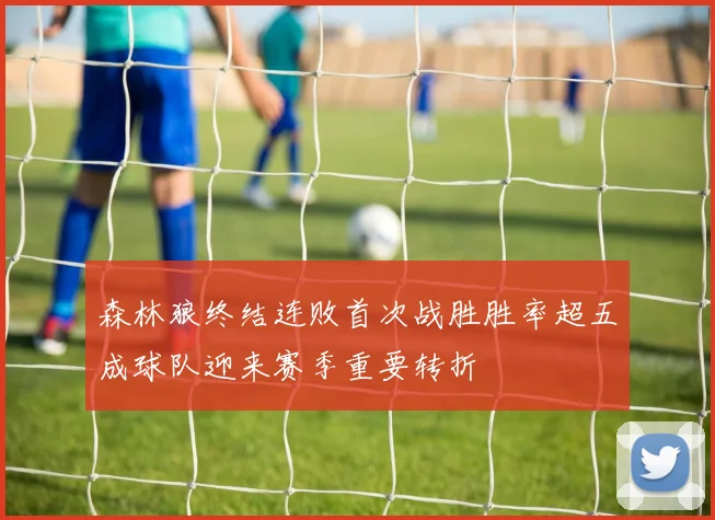 森林狼终结连败首次战胜胜率超五成球队迎来赛季重要转折
