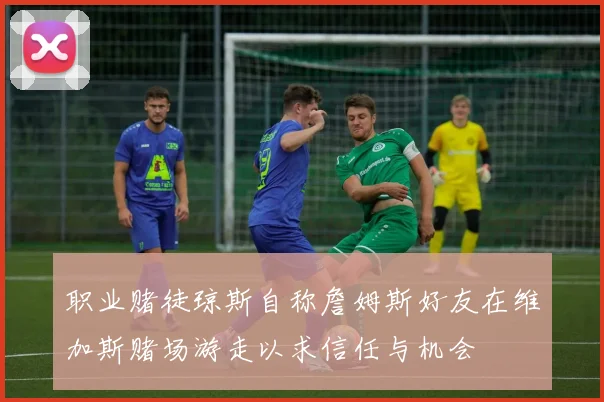 职业赌徒琼斯自称詹姆斯好友在维加斯赌场游走以求信任与机会